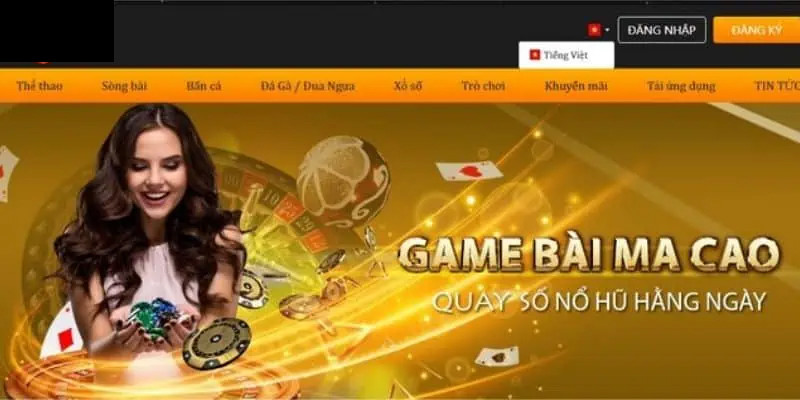 Tại sao nên chọn chơi cá cược tại 789BET